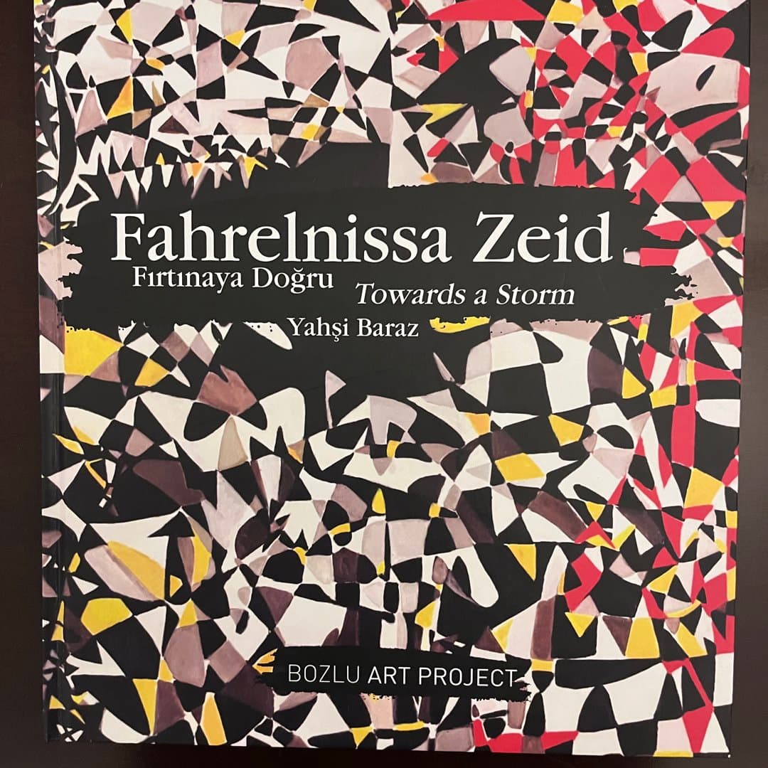 Kitap : Fahrelnissa Zeid Fırtınaya Doğru