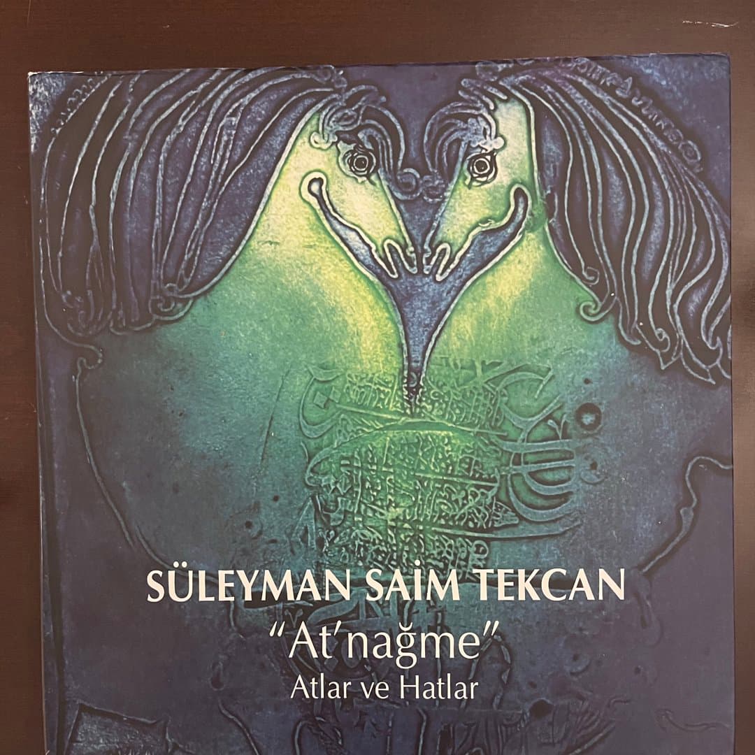 Kitap : Süleyman Saim Tekcan