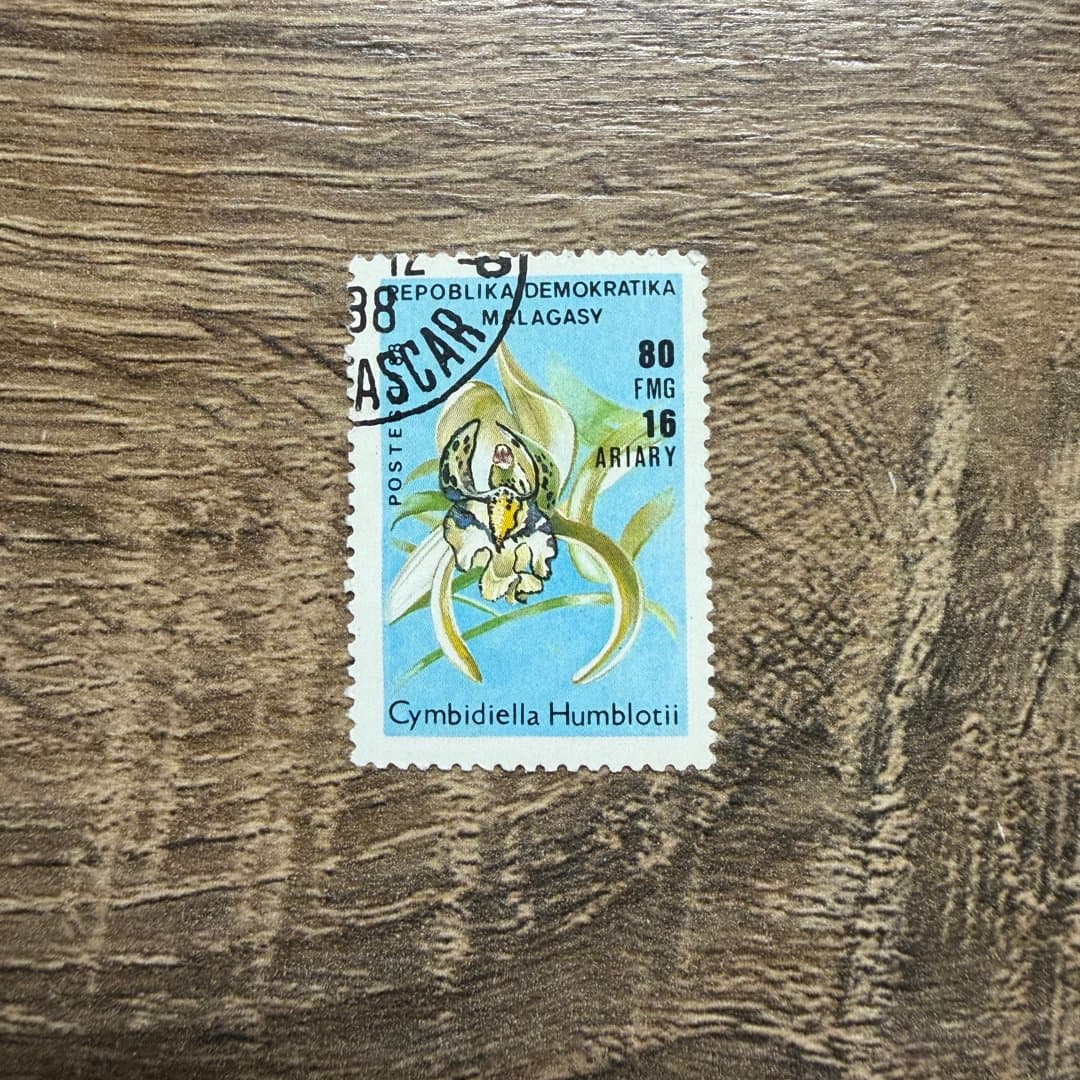 1988г - Photo 1