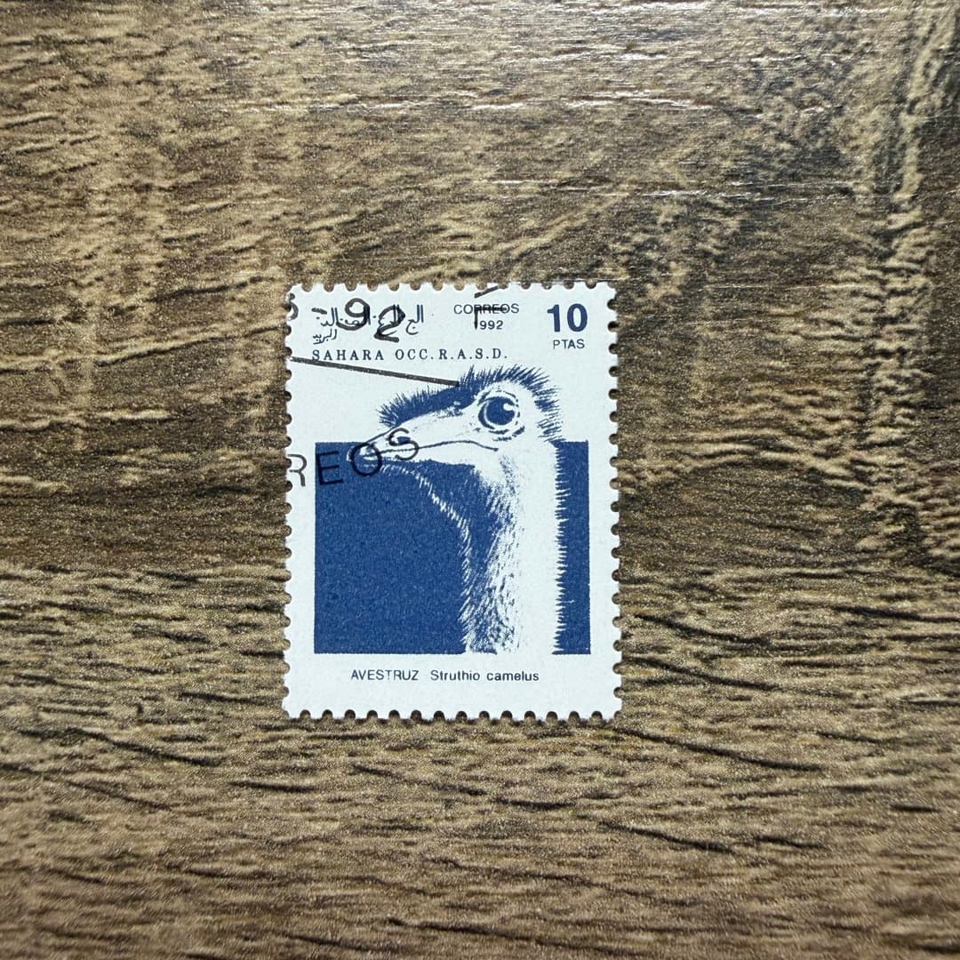 1992г - Photo 1