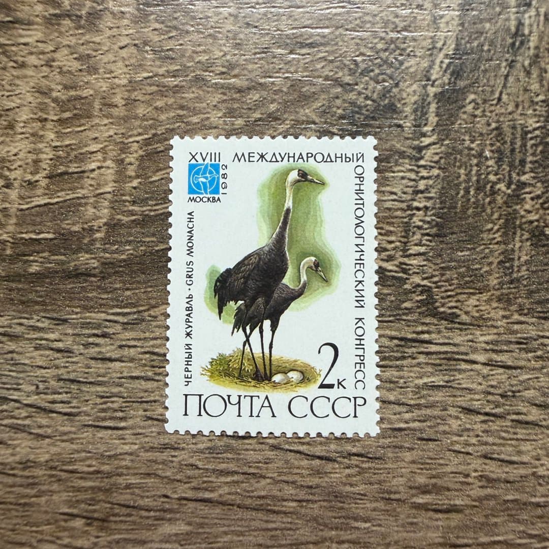 1982г - Photo 1