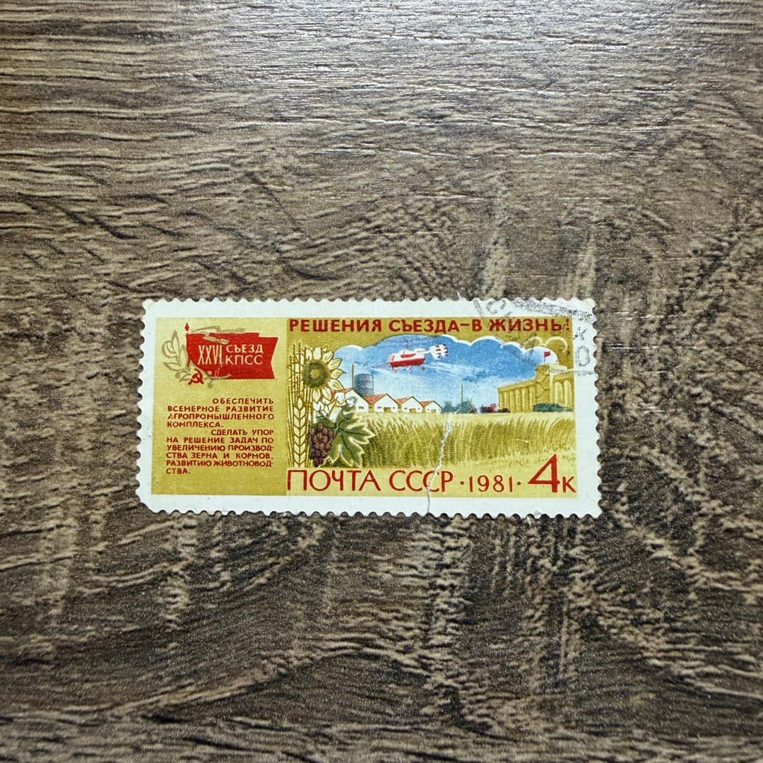 1981г - Photo 1