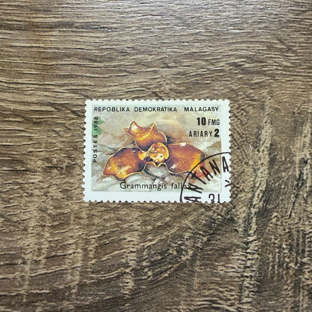 1988г - Photo 1