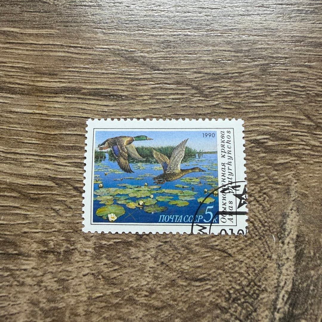 1990г - Photo 1