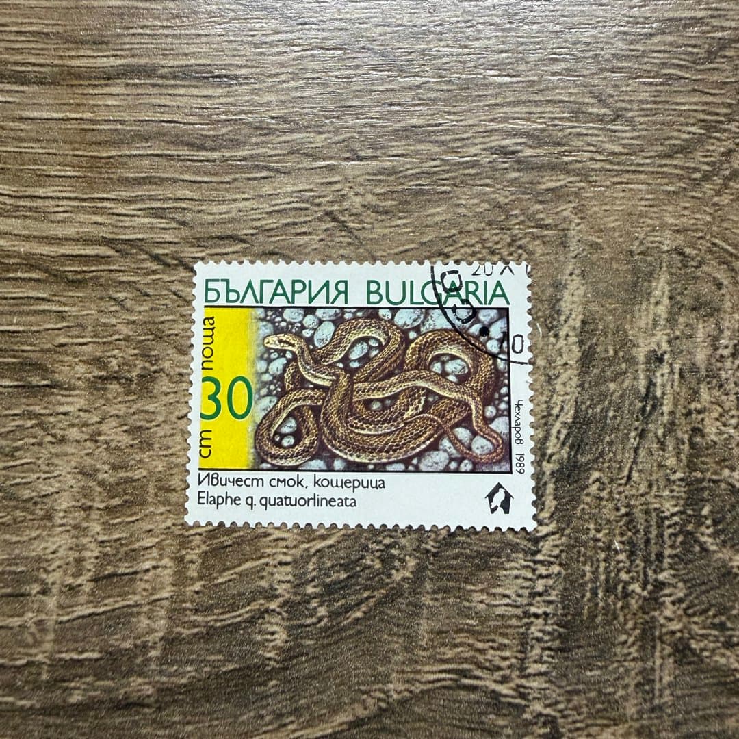 1989г - Photo 1