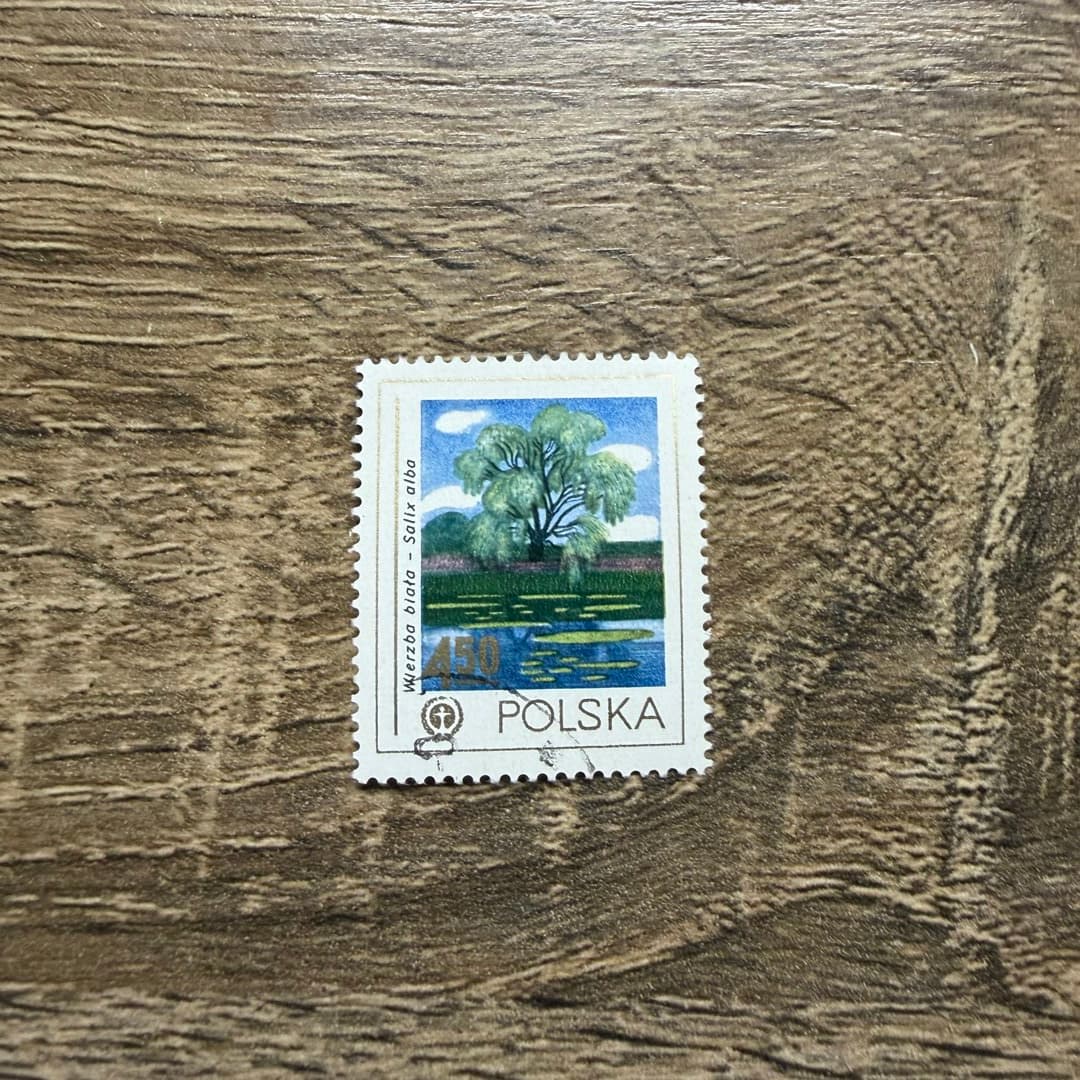 1978г - Photo 1