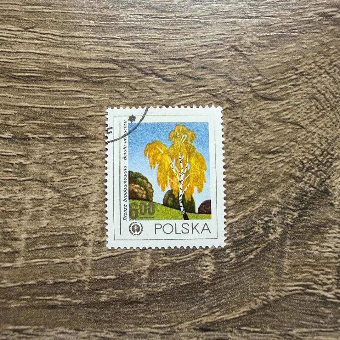 1978г - Photo 1