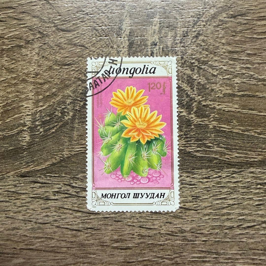 1989г - Photo 1