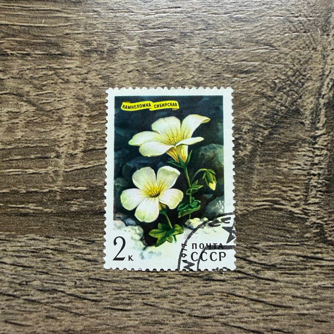 1977г
