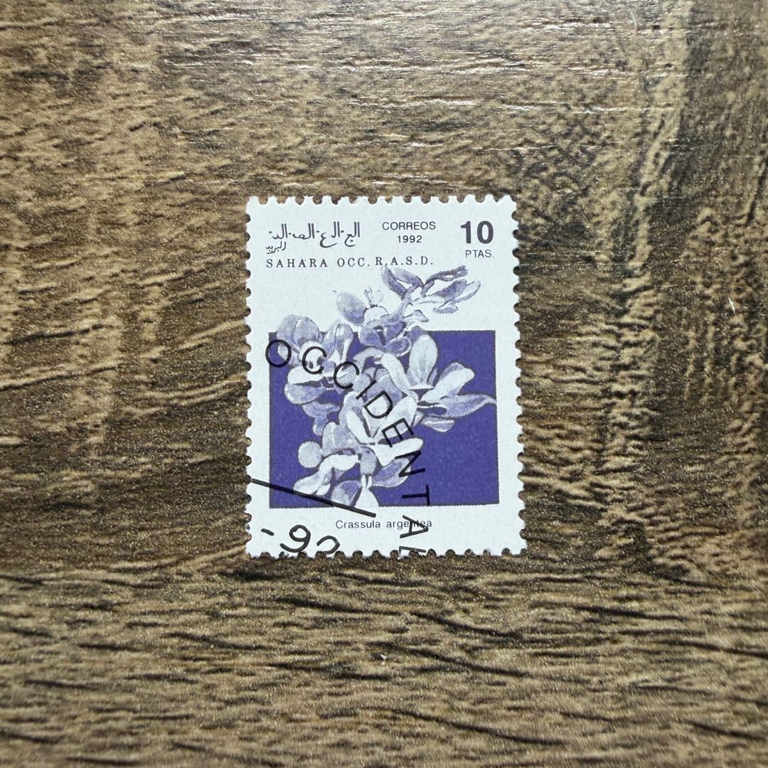 1992г - Photo 1