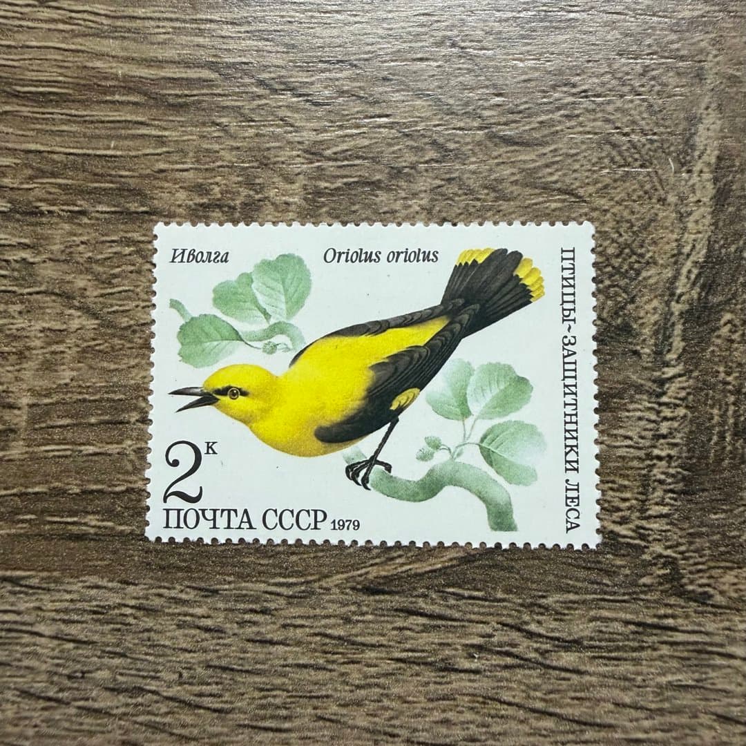 1979г - Photo 1