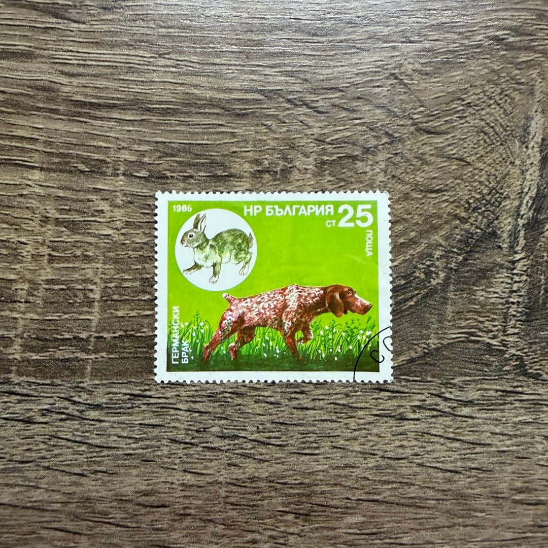 1985г - Photo 1