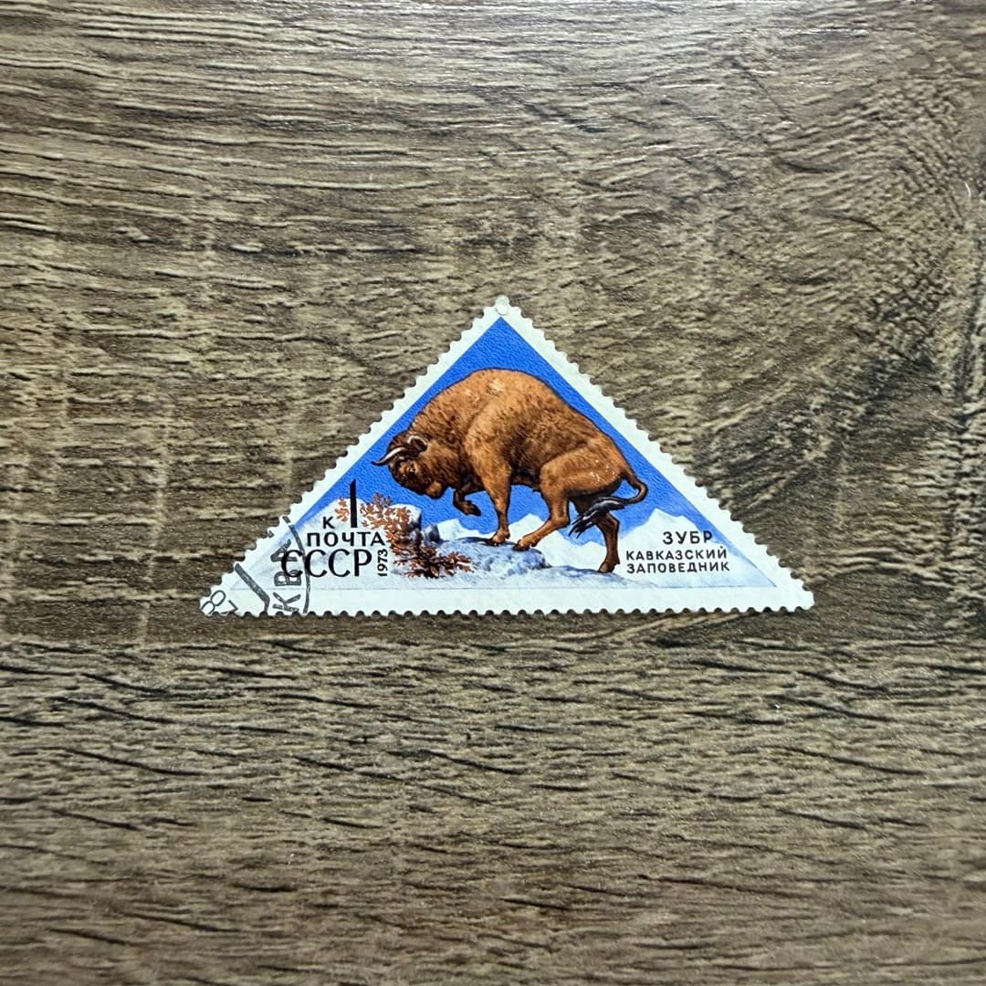 1973г