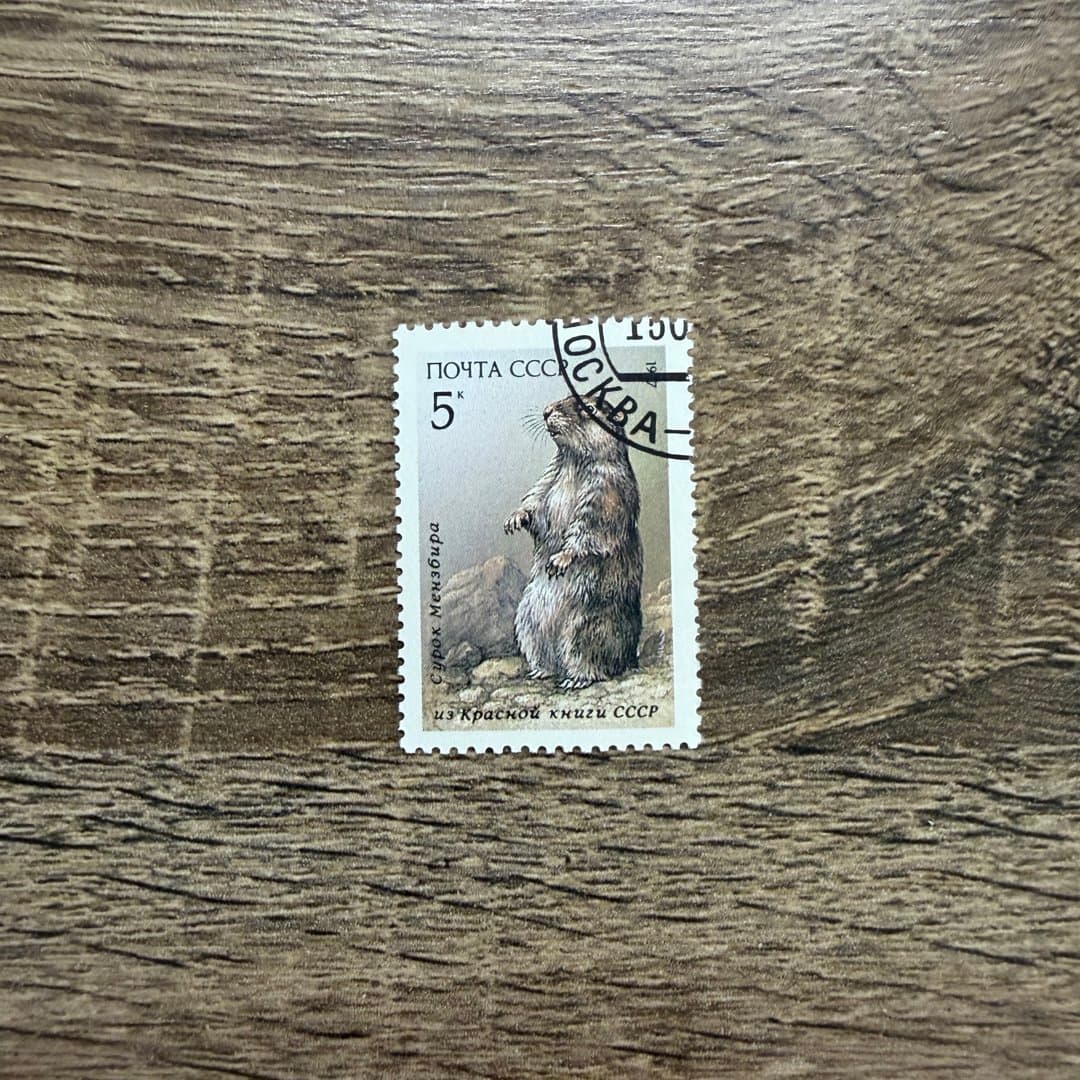1987г - Photo 1