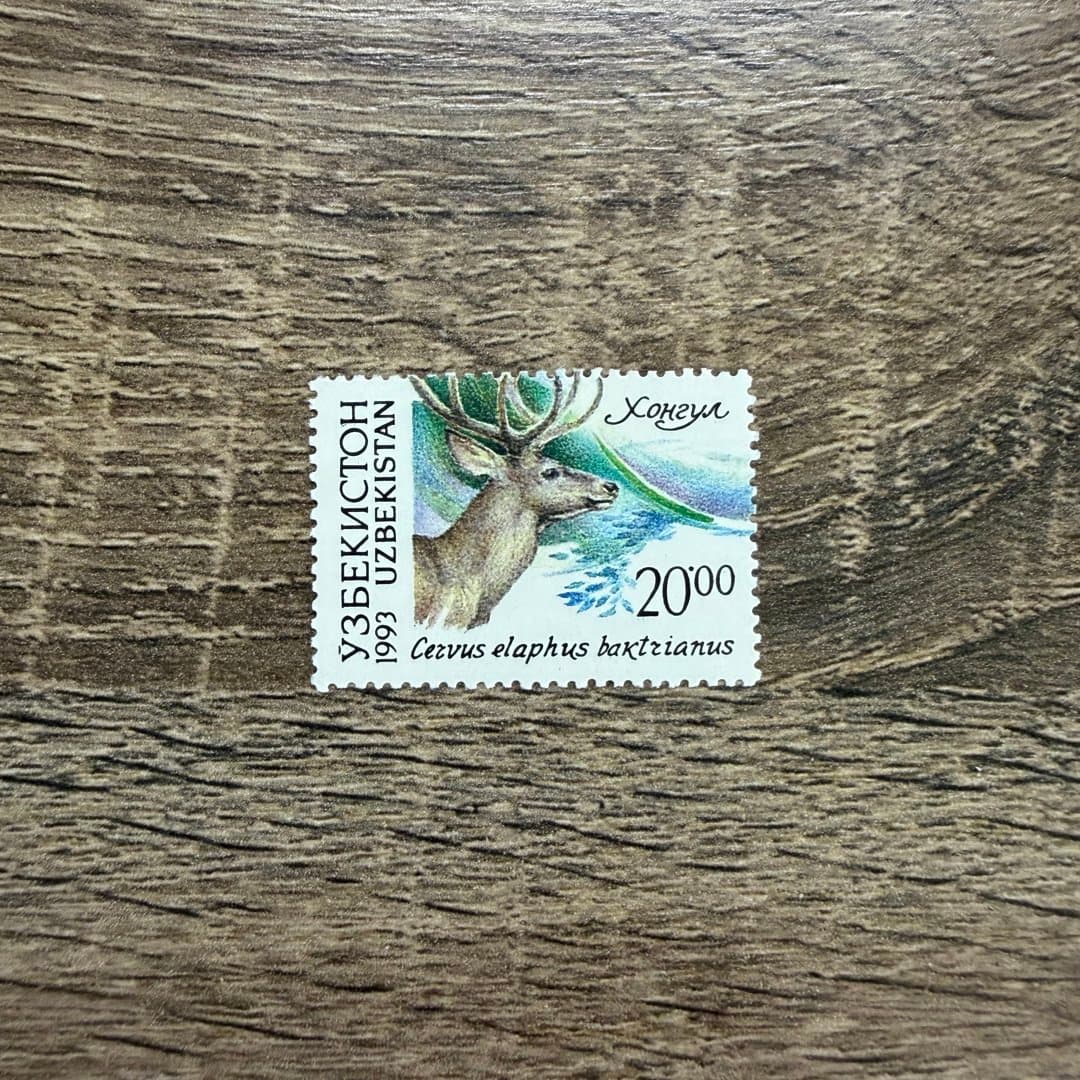 1993г