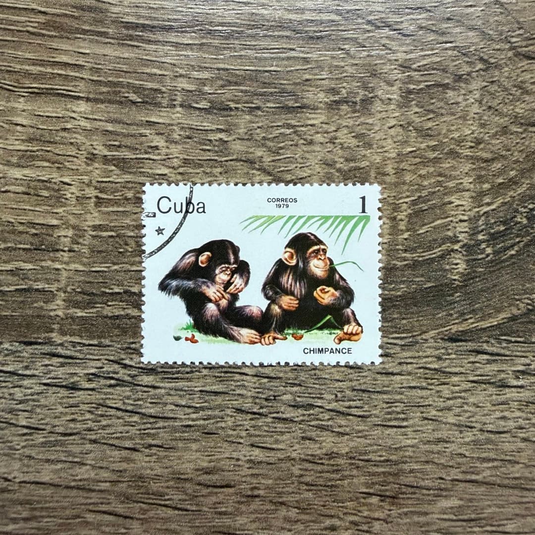 1979г - Photo 1