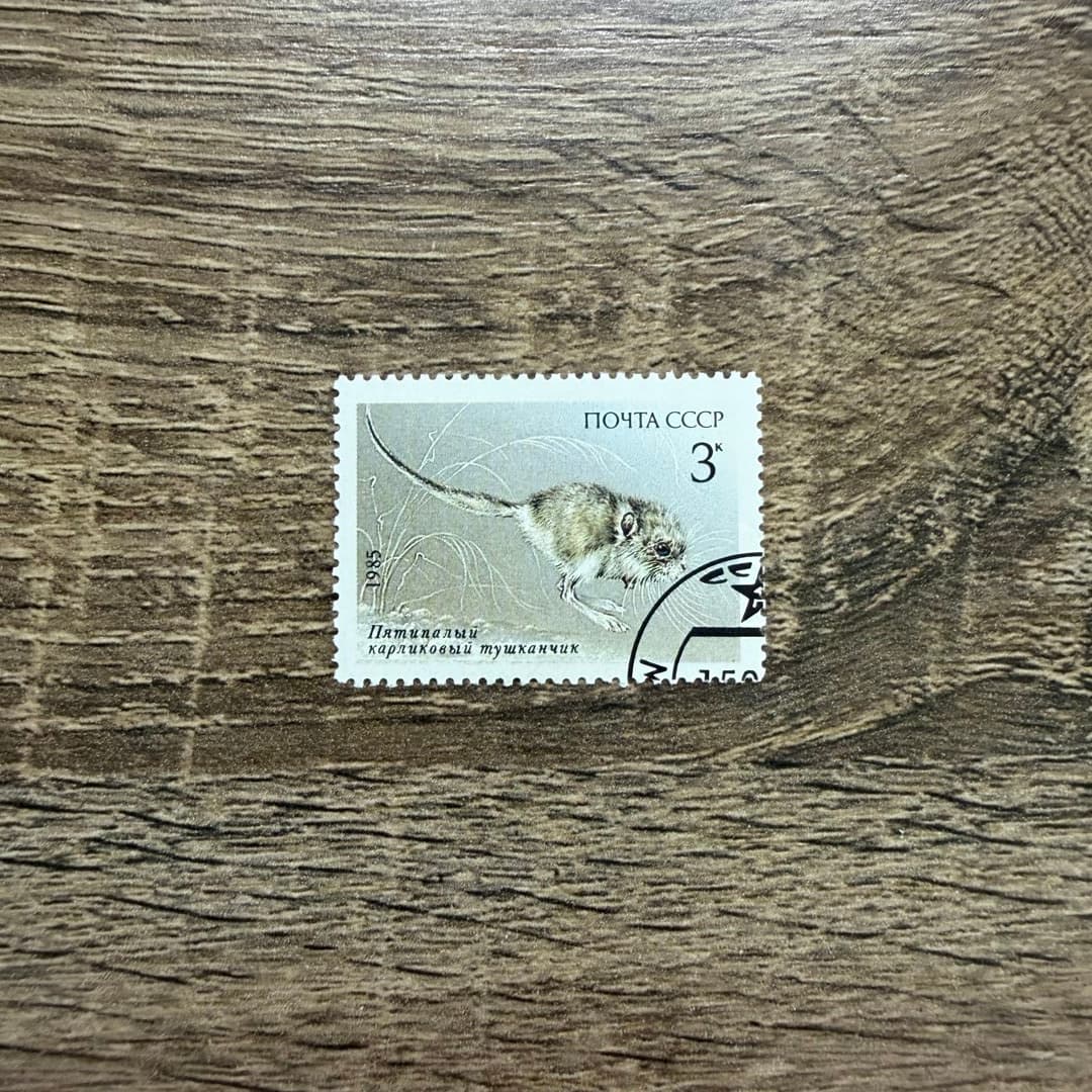 1985г - Photo 1