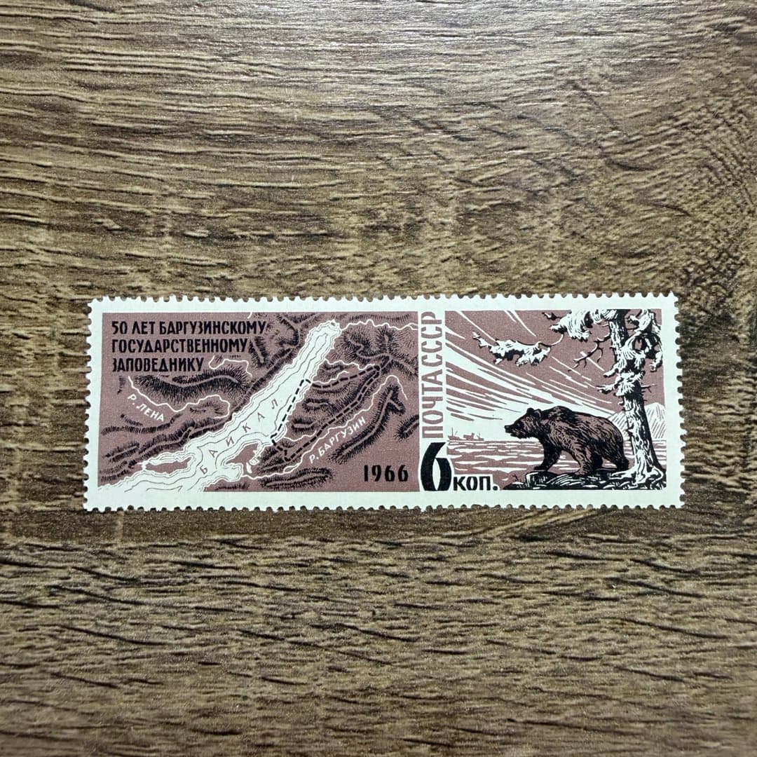 1966г - Photo 1