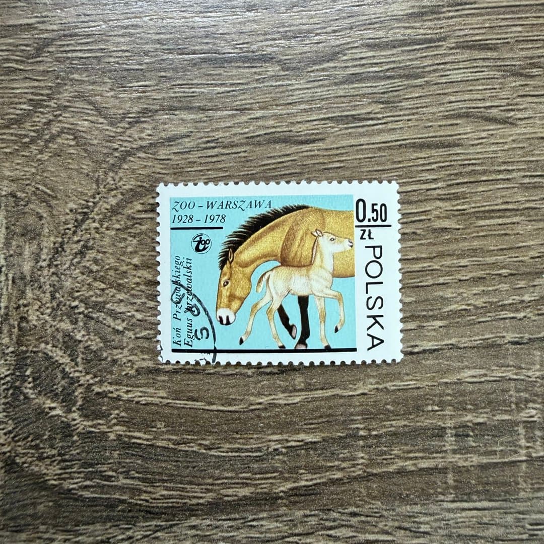 1978г - Photo 1