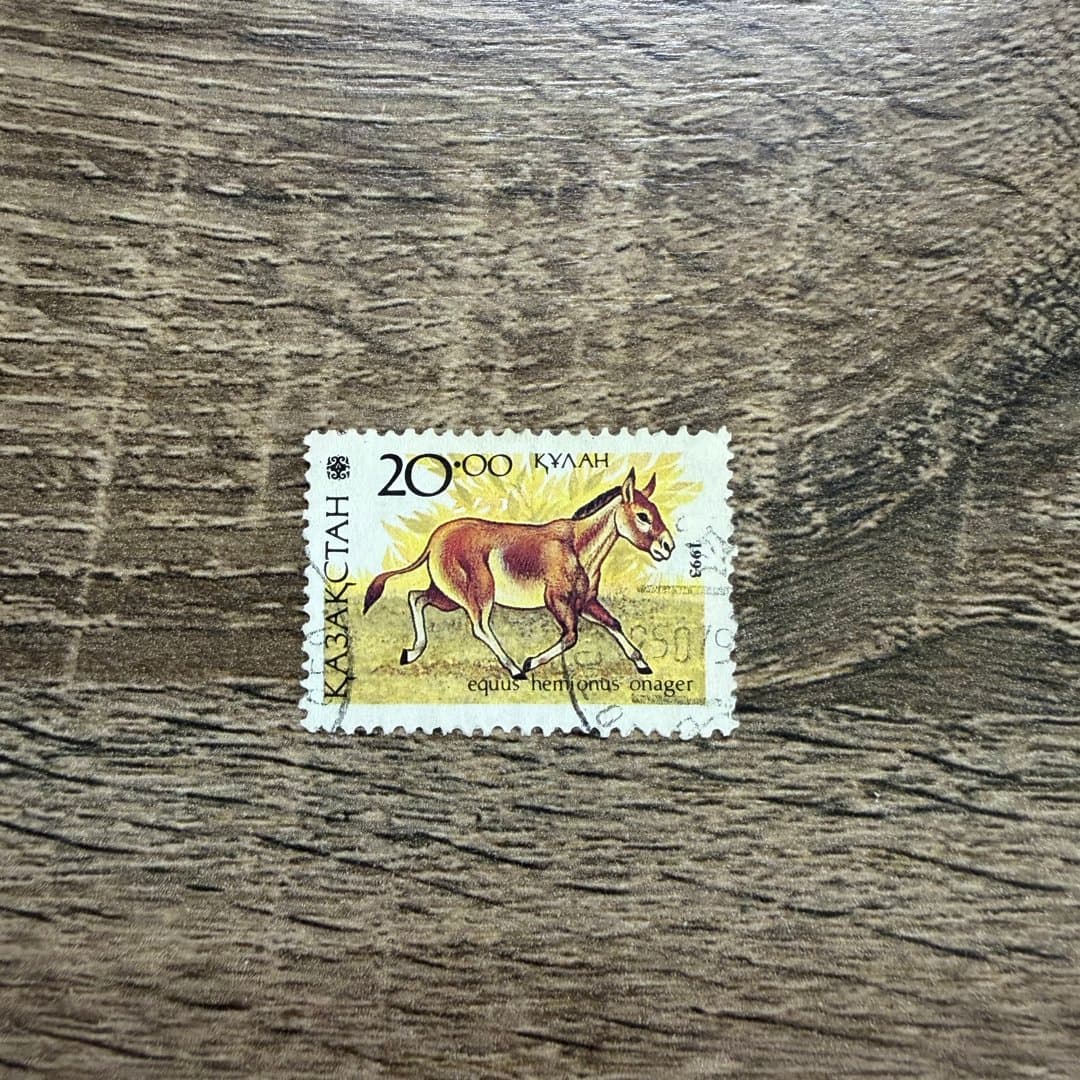 1993г
