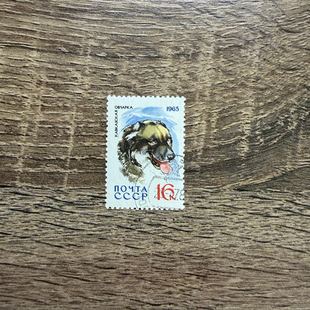 1965г