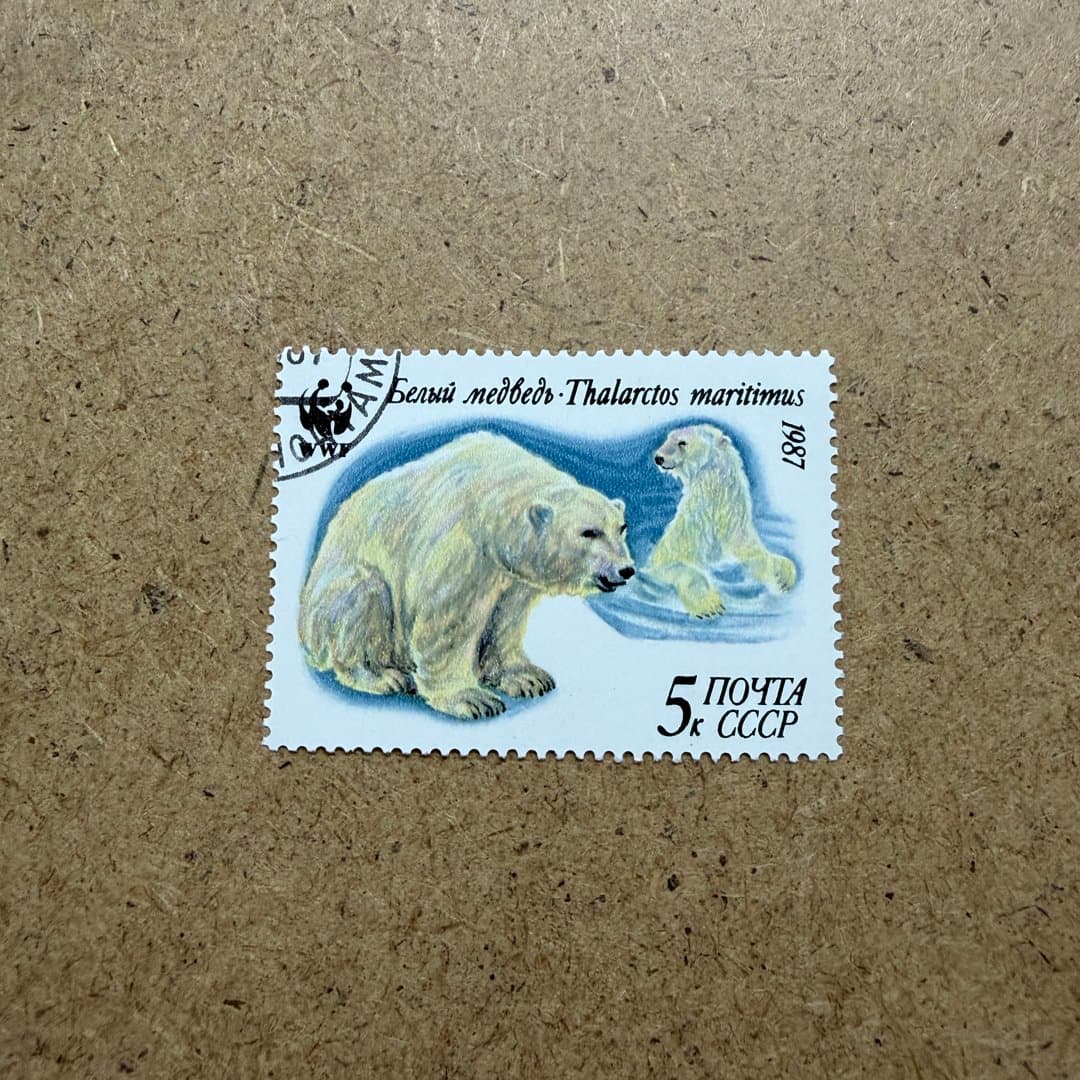 1987г - Photo 1