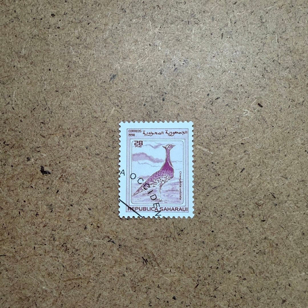 1998г - Photo 1