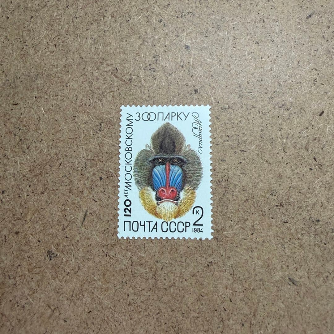1984г - Photo 1