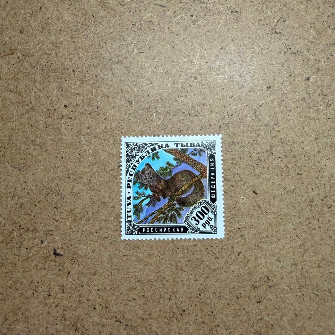 1994-1995гг - Photo 1